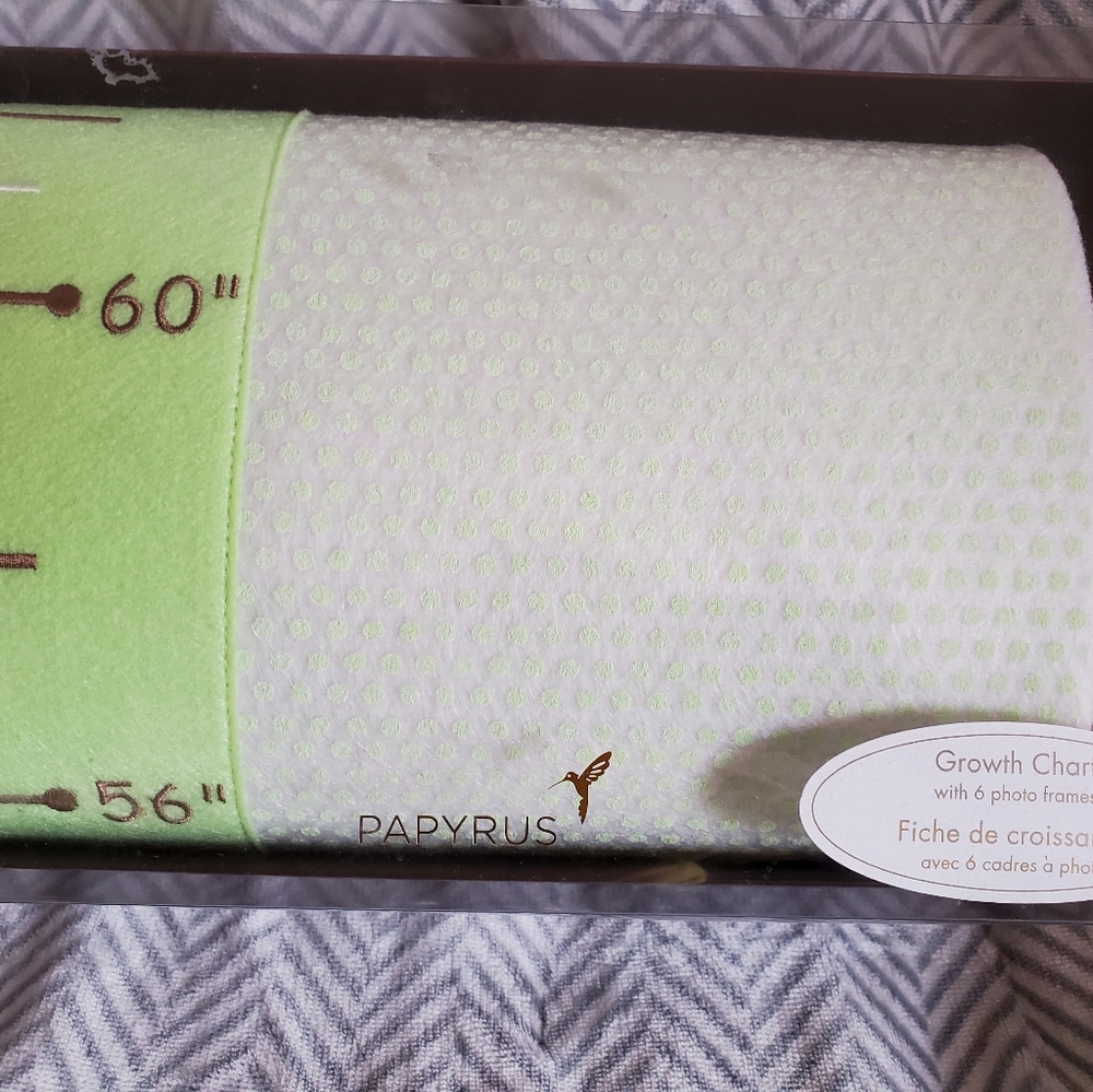 Growth Chart - Picture 4 of 4